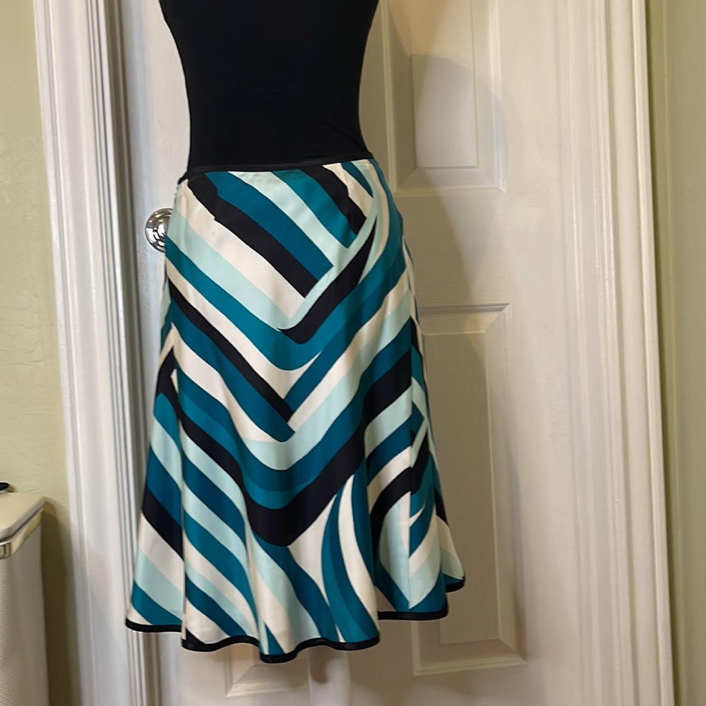 Ann Taylor Silk Skirt NWOT - Picture 3 of 7